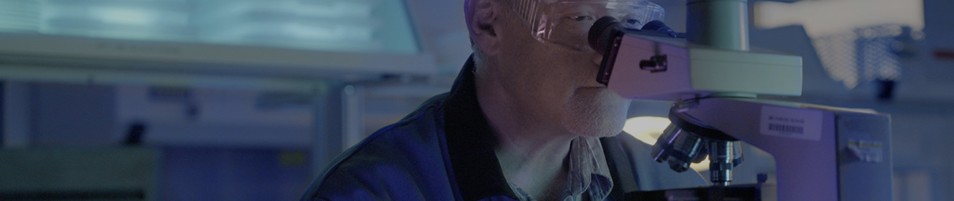 companies-component-bg