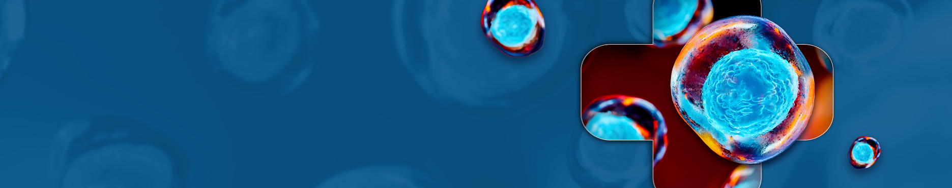 companies-component-bg