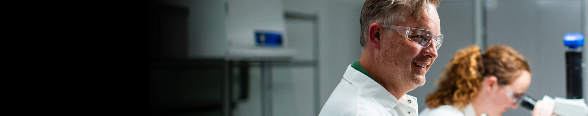 companies-component-bg