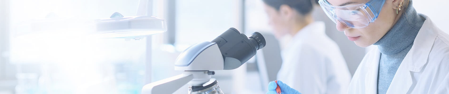 companies-component-bg