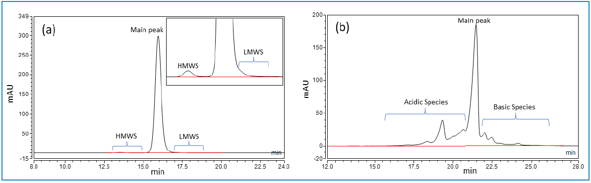 Figure 1: UV chromatogram of IgG1 mAb (a) SE-HPLC (b) CEX-HPLC (Note: HMWS = high molecular weight species, LMWS = low molecular weight species).
