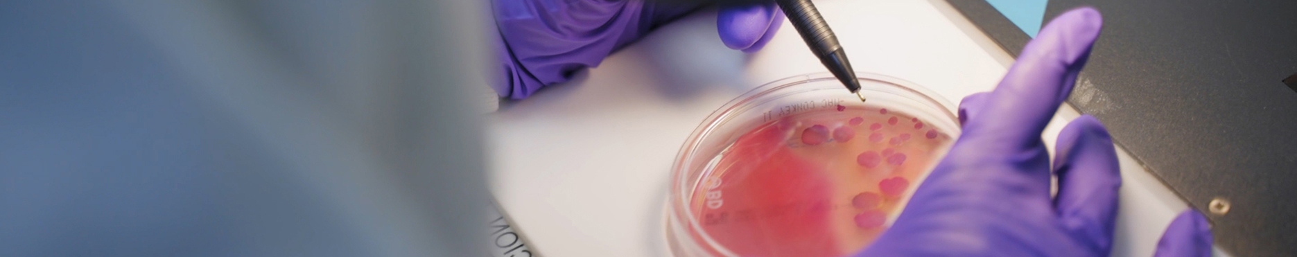 companies-component-bg