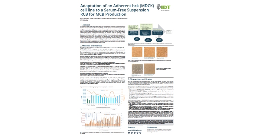 Adaptation of an Adherent hck (MDCK) Cell Line to a Serum-Free Suspension RCB for MCB Production