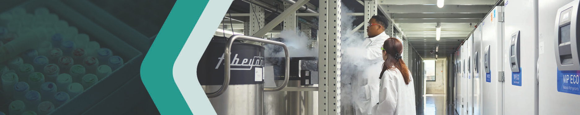 companies-component-bg