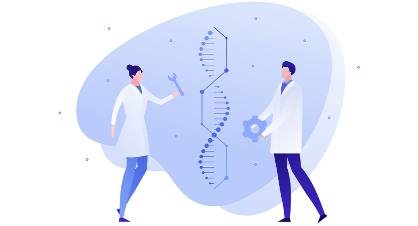 Smarter DMPK Strategies for Preclinical Oligonucleotide Development: Accelerate Progress & Enhance Safety